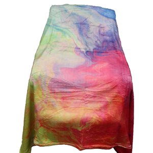 Fuzzy Blanket Sale Price 6.99